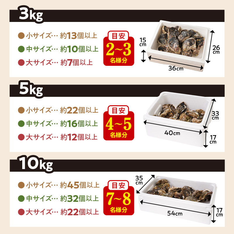 延岡産天然岩牡蠣（生食用）10kg（大）（2024年4月1日から発送開始）　N036-ZD027