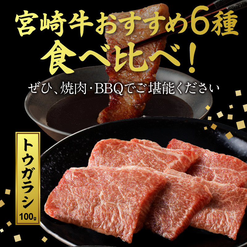 宮崎牛焼肉食べ比べ6種盛600g　N0140-YB328