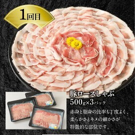 【6ヶ月定期便】宮崎牛と宮崎県産豚食べ比べ N0147-YG0247