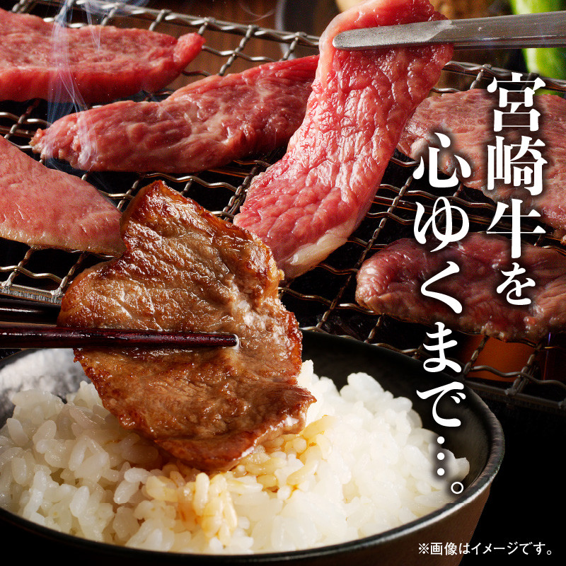 宮崎牛焼肉食べ比べ6種盛600g　N0140-YB328