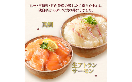 【冷凍】日向灘真鯛と生アトランサーモンの漬け丼2種食べ比べセット　100g×8袋　N019-ZB062