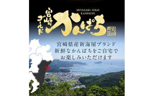 宮崎産 新海屋 鰤屋金太郎 宮崎ゴールドカンパチ 500g　冷蔵　N018-ZA463_1