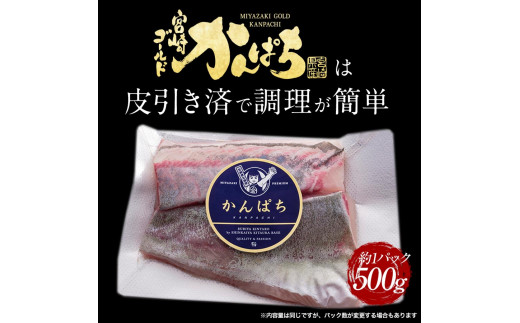 宮崎産 新海屋 鰤屋金太郎 宮崎ゴールドカンパチ 500g　冷蔵　N018-ZA463_1