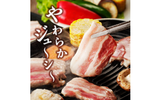 宮崎ブランドポーク 豚バラ 焼肉 500g　N061-A0103