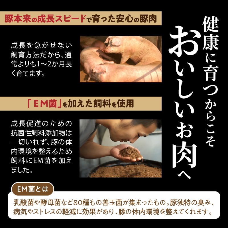 延岡よっとん ヒレブロック1kg N003-YB128