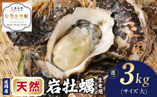 延岡産天然岩牡蠣（生食用）3kg（大）（2024年4月1日から発送開始）　N036-ZA527