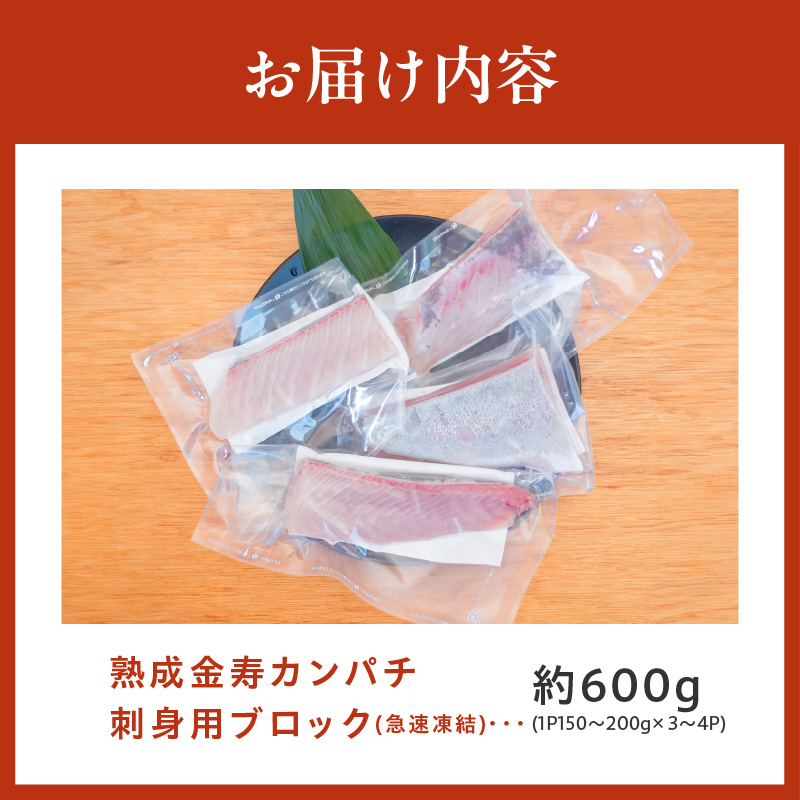 熟成金寿カンパチ刺身用ブロック約600ｇ（急速凍結）　N015-YA591