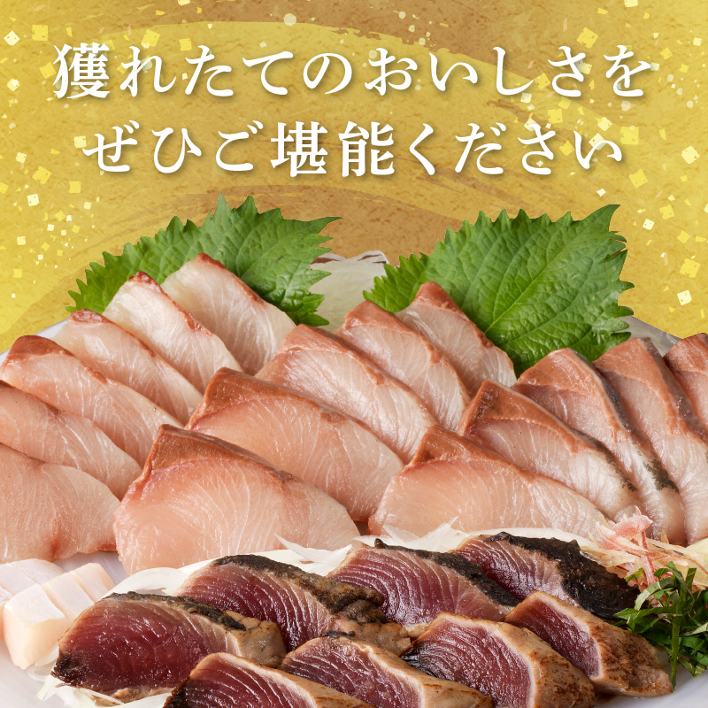 【単月お届け】大和のこだわり漁師のお刺身6人前 N072-YA3338_1