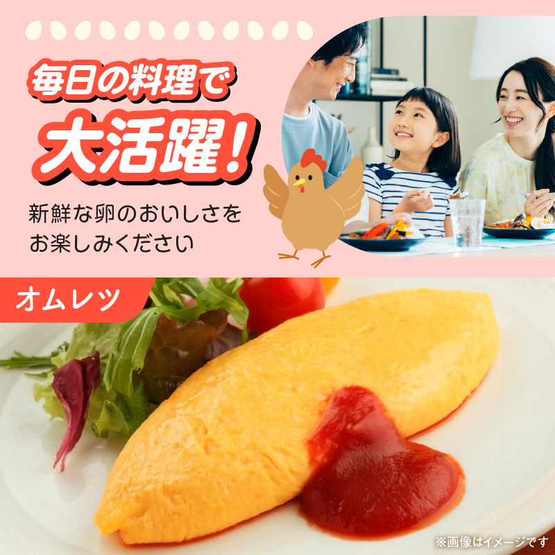 延岡産もみじ玉子30個 N033-YA0140