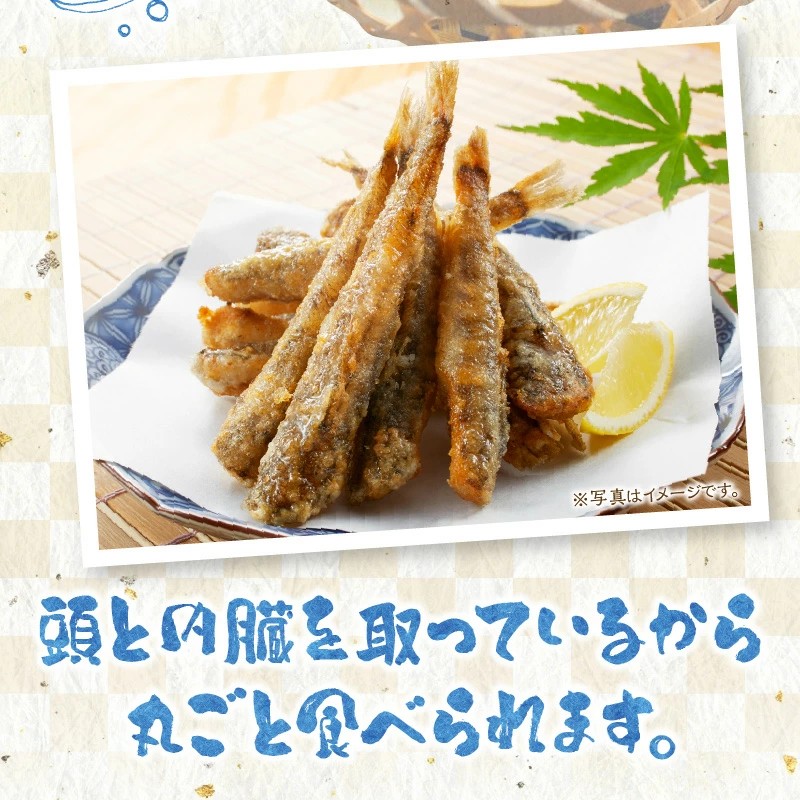 延岡産めひかり無頭中サイズ500g×2袋 N0184-YA2267