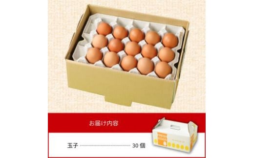延岡産 もみじ 玉子 卵 たまご タマゴ 30個　N033-A0140