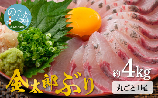 宮崎産 新海屋 鰤屋金太郎 金太郎ぶり 丸ごと 1尾 約4kg以上　N018-ZC214