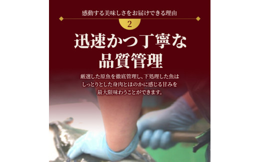 延岡産活〆真鯛とシマアジの豪華お刺身セット　N019-ZC804　請関水産