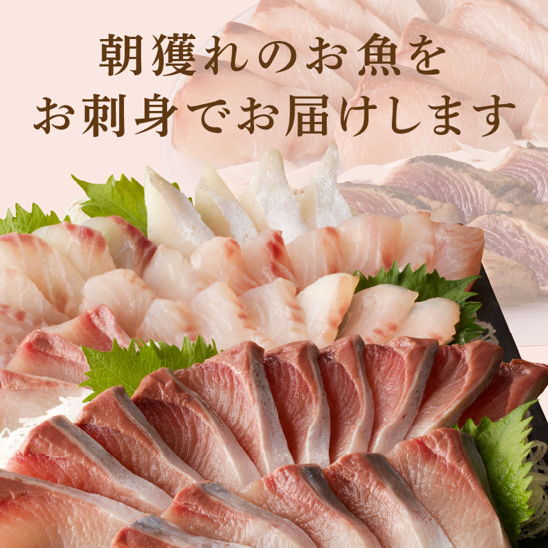 【単月お届け】大和のこだわり漁師のお刺身6人前 N072-YA3338_1