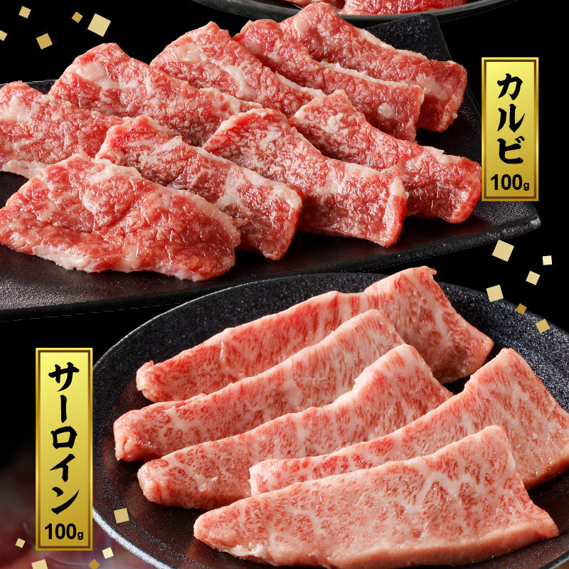 宮崎牛焼肉食べ比べ3種盛合計300gN0140-YA5506