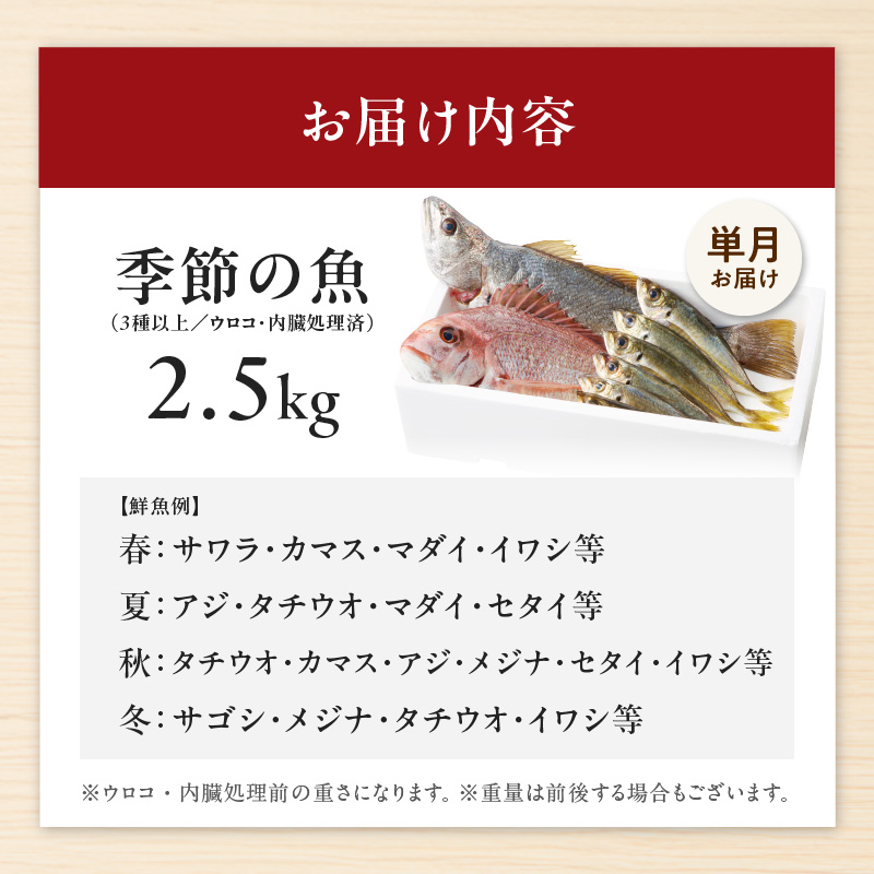 大和海商の朝どれ鮮魚直送便2.5kg N072-YZA2226