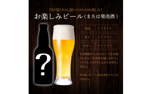 6ヶ月定期便　宮崎ひでじビール　お楽しみ6本セット　N073-ZE057