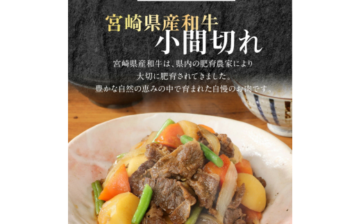 宮崎牛 ロース ステーキ 250g×2 宮崎県産和牛小間切れ 100g×2 計700g　N0147‐B813