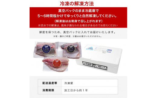 宮崎産 新海屋 鰤屋金太郎 刺身３種セット 真鯛 ぶり カンパチ 各種900g 計2700g　冷凍　N018-ZE039_2