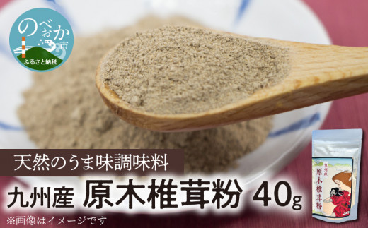 天然 うま味調味料 九州産 原木椎茸 粉 40g　N0155-A0190