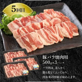 【6ヶ月定期便】宮崎牛と宮崎県産豚食べ比べ N0147-YG0247