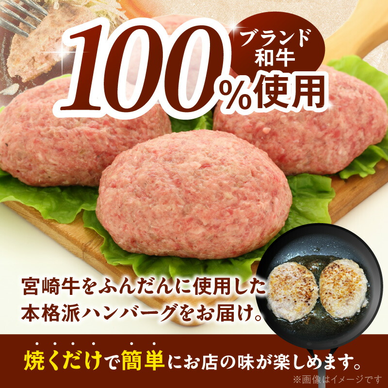 宮崎牛ハンバーグ100ｇ×10個 N124-YD0199