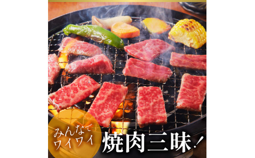 宮崎牛 モモ焼肉　N023-ZC005