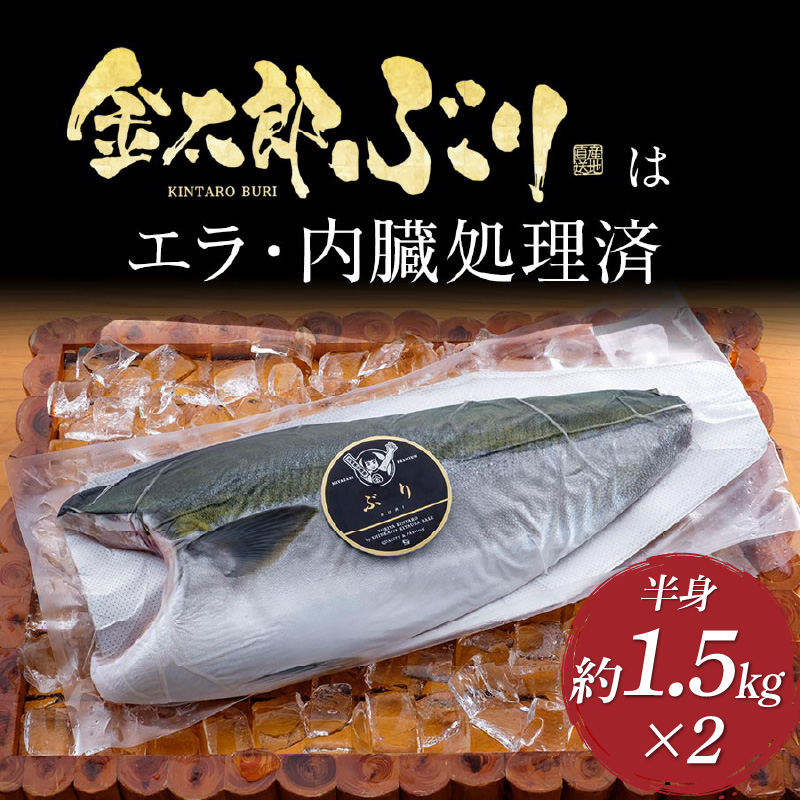 鰤屋金太郎【冷凍】ぶりフィレ２枚約1.5kg N018-YZB720_2