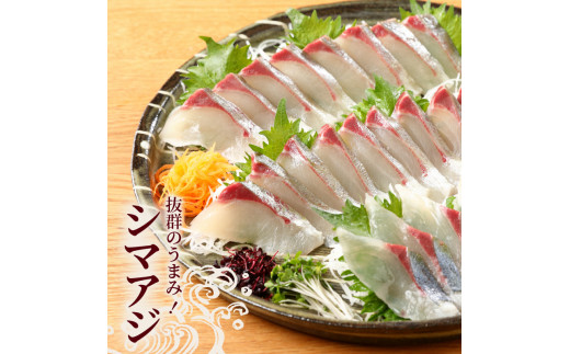 延岡産活〆真鯛とシマアジの豪華お刺身セット　N019-ZC804　請関水産