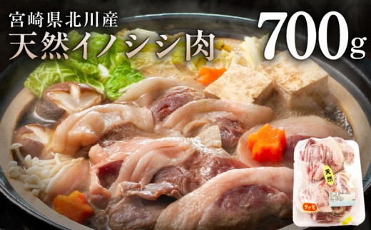 蛹怜キ晉肇繧、繝弱す繧キ閧 N009-YZA590