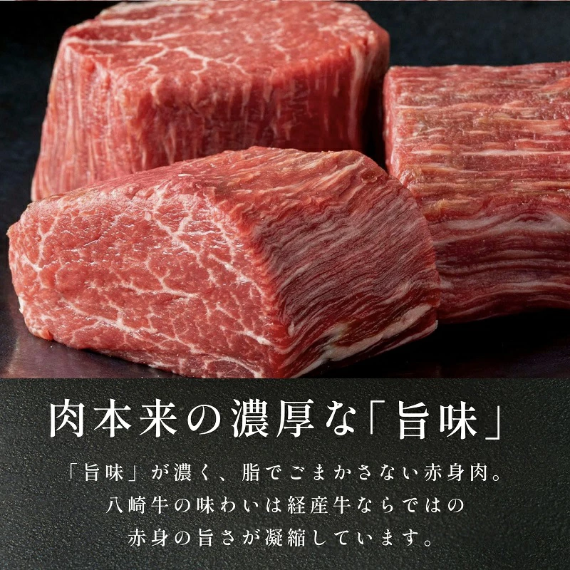 八崎牛のハンバーグ 120g×8個【贈答向け】　N0105-B918