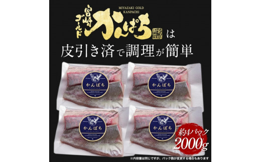 宮崎産 新海屋 鰤屋金太郎 宮崎ゴールドカンパチ 2000g　冷凍　N018-ZC904_2