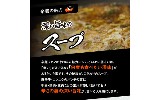 辛麺4食・なんこつ1セット【3カ月定期便】　N040-ZC514
