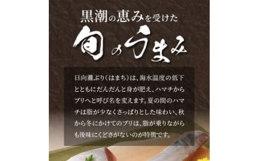 〈数量限定〉日向灘ぶり　はまち　うまみ極点製法　食べきりパック　300g　N124-ZA3304