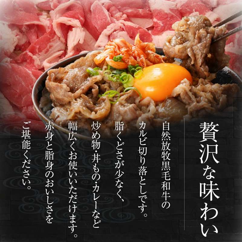 八崎牛のカルビ切り落とし 1.0㎏ N0105-YA684