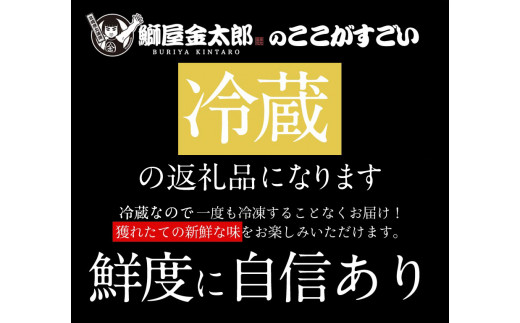 宮崎産 新海屋 鰤屋金太郎 宮崎ゴールドカンパチ 丸ごと1尾 約3.6kg〜約4kg　N018-ZC216