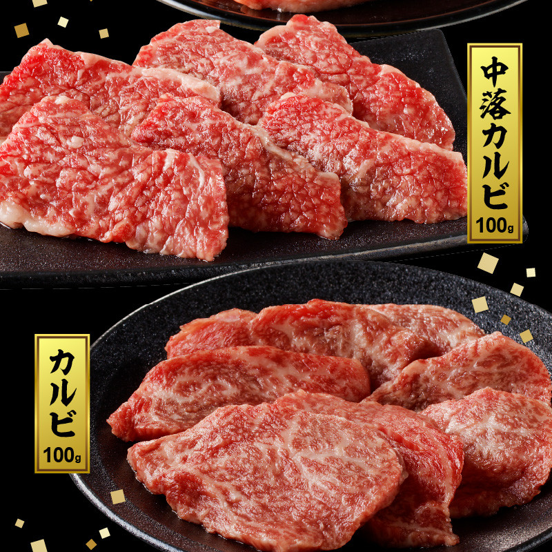 宮崎牛焼肉食べ比べ6種盛600g　N0140-YB328