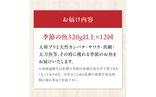 【12ヶ月定期便】大和海商　こだわり漁師のお刺身　4人前　N072-G0143