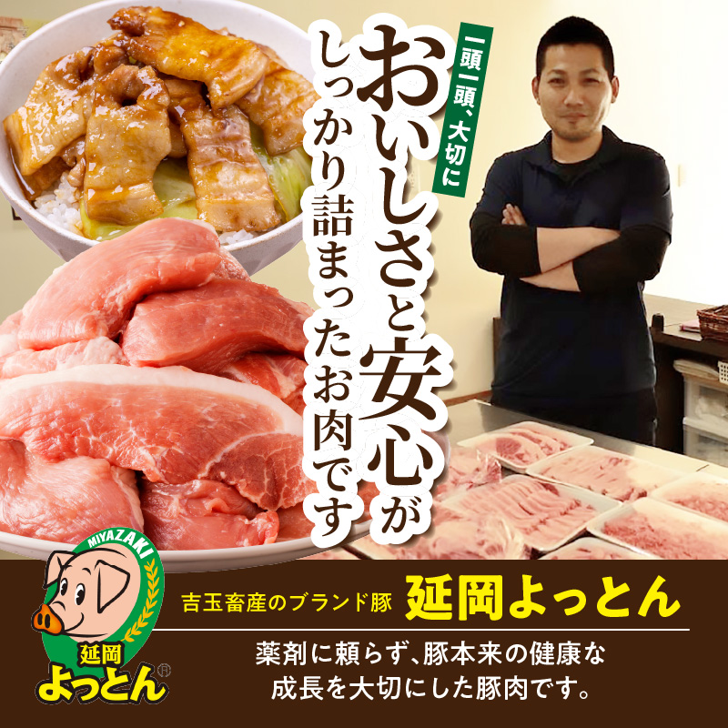 延岡よっとん ロースブロック約1kg N003-YA966