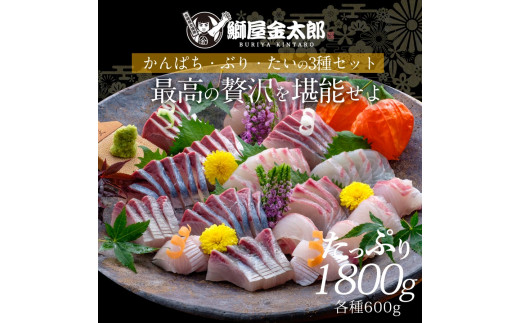 宮崎産 新海屋 鰤屋金太郎 刺身３種セット 真鯛 ぶり カンパチ 各種600g 計1800g　冷蔵　N018-ZD073_1