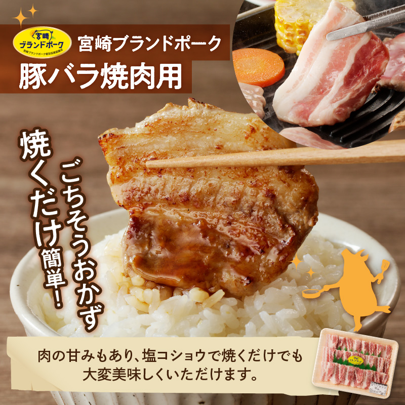 豚肉の焼肉セット N061-YB439