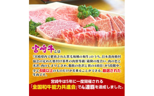 宮崎牛　おまかせ焼肉セット　N023-ZA304