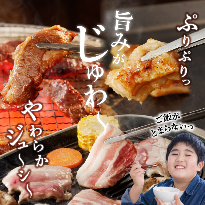 豚肉の焼肉セット N061-YB439