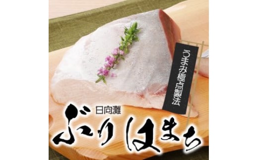 〈数量限定〉日向灘ぶり　はまち　うまみ極点製法　食べきりパック　300g　N124-ZA3304