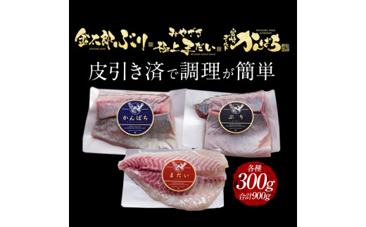 宮崎産 新海屋 鰤屋金太郎 刺身３種セット 真鯛 ぶり カンパチ 各種300g 計900g　冷凍　N018-ZB613_2