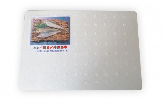延岡産活〆鮎 1.5kg　N017-ZA174