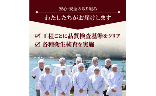 【日向灘どれ】延岡産活〆ブリのお刺身　400g〜550g　N019-ZA044　請関水産