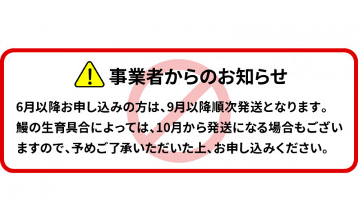 【定期便】≪急速冷凍≫北川鰻の白焼き（4匹×4回）　N010-ZF046