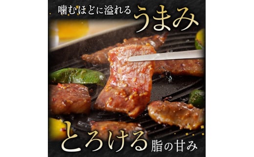 宮崎牛タレ漬け焼肉用　450g（A5等級）　N061-ZA434