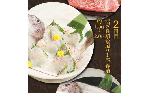 A5〜A4等級宮崎県産黒毛和牛 宮崎牛 真鯛姿造り ぶり ひらめ 真鯛　3回定期便　N124-ZE062